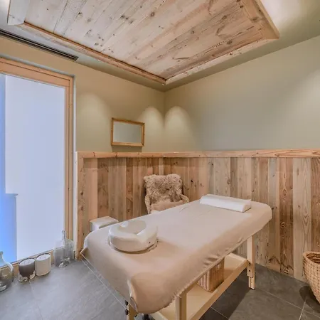 Apartment In Near French Alps *